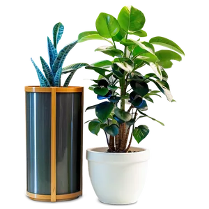 Indoor Potted Plants Png Yfh PNG Image