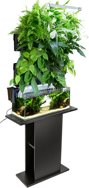 Aquael Versa Garden, HD Png Download PNG with transparent background