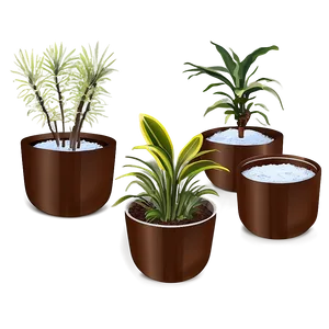 Indoor Winter Plants Png Vup PNG Image