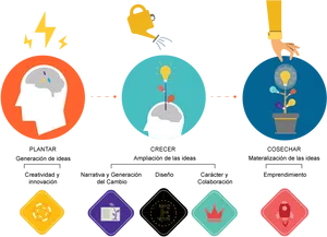 Innovation_ Process_ Stages PNG Image