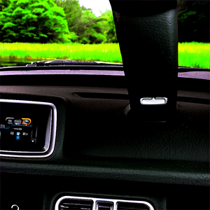 Inside Car View PNG sws PNG with transparent background