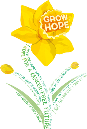 American Cancer Society Daffodil Days 2018, HD Png Download PNG image with transparent background
