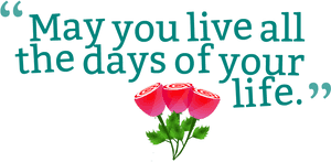 Transparent Quote Png - Wedding Anniversary Quotes Png, Png Download PNG with transparent background
