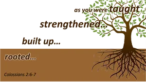 Inspirational Tree Roots Colossians Biblical Verse PNG Image