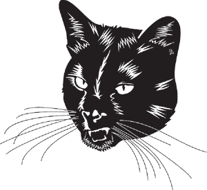 Black Cat Head With Whiskers - Black Cat Head Vector, HD Png Download PNG image with transparent background