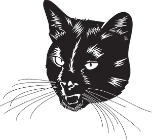 Intense Black Cat Illustration PNG Image