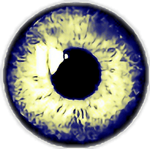 Intense_ Blue_ Eye_ Closeup.png PNG image with transparent background