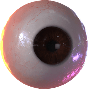 Intense Brown Human Eye PNG image with transparent background