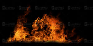 Fire Flames Png - Transparent Fogo Png, Png Download PNG image with transparent background