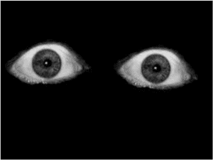 Intense_ Gaze_in_ Darkness.jpg PNG image with transparent background