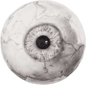 Intense_ Human_ Eye_ Closeup.png PNG image with transparent background