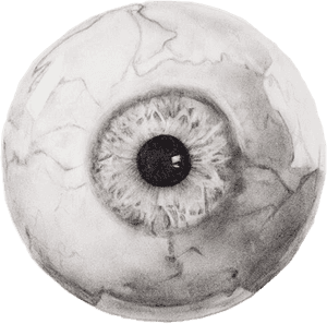 Intense Human Eye Drawing PNG image with transparent background