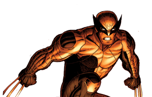 Wolverine Png - Wolverine Comic Marvel Now, Transparent Png PNG image with transparent background
