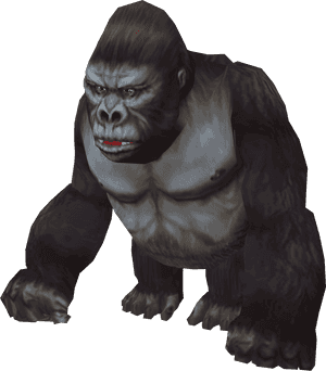 Gorilla Photo Background - Gorilla Png Transparent, Png Download PNG image with transparent background