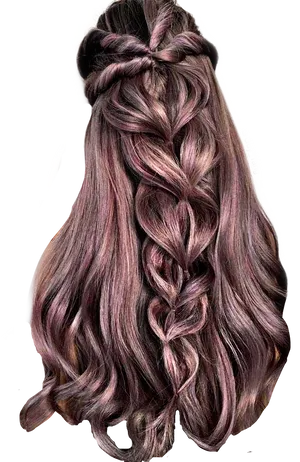 Intricate Braided Hairstyleon Long Hair PNG Image