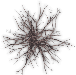 Dead Tree Plan Png, Transparent Png PNG image with transparent background