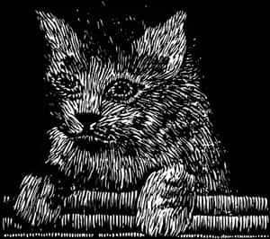 Intricate Kitten Sketch PNG image with transparent background