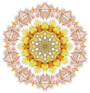 Intricate Mandala Pattern Sticker PNG Image