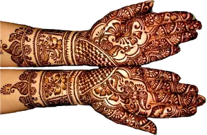 Intricate Mehndi Designon Hands PNG Image