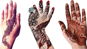 Intricate Mehndi Designson Hands PNG Image