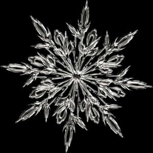 Intricate Snowflake Crystal Photography PNG image with transparent background