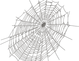 Intricate Spider Web Design PNG Image