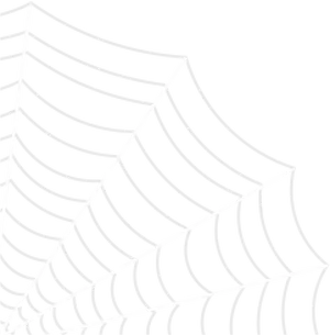 Intricate Spider Web Drawing PNG Image