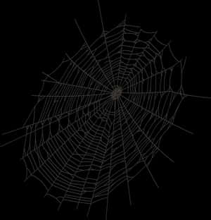 Intricate Spider Webon Black Background PNG image with transparent background