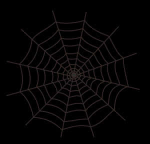 Intricate Spider Webon Dark Background PNG image with transparent background