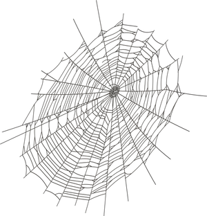 Intricate Spider Webon Dark Background PNG Image