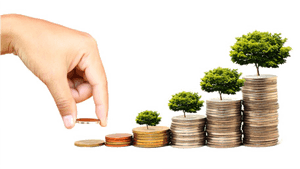 Fund Png Free Download - Mutual Fund Investment Png, Transparent Png PNG image with transparent background