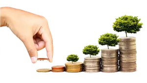 Investment Growth Concept PNG Image