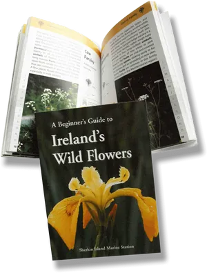 Irelands Wild Flowers Guide Book PNG Image