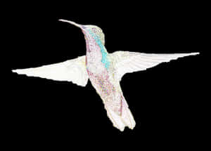 Iridescent Hummingbird Artwork PNG image with transparent background