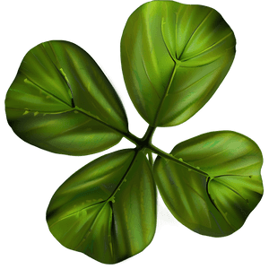 Irish Clover PNG 05252024 PNG