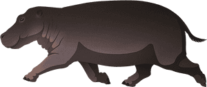 Island Weirdness - Hippopotamus, HD Png Download PNG image with transparent background