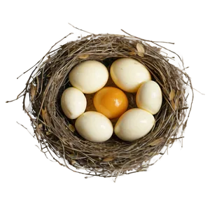 Isolated Bird Nest Png Bhs PNG Image