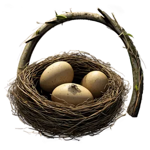 Isolated Bird Nest Png Poi PNG Image