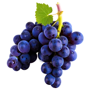 Isolated Grape Picture Png 60 PNG Image