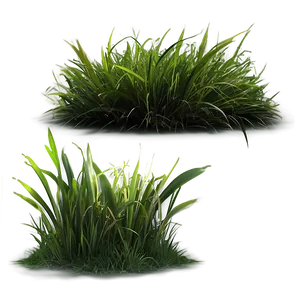 Isolated Grass Patch Png 06212024 PNG Image