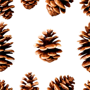 Isolated Pine Cone PNG avg47 PNG