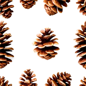 Isolated Pine Cone Png Avg47 PNG Image