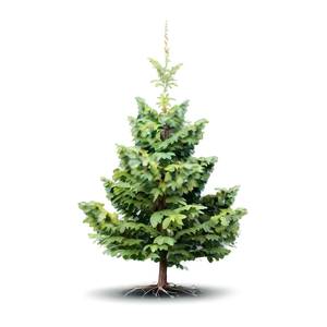 Isolated Small Tree Png 90 PNG Image