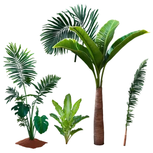 Isolated Tropical Plants Png 86 PNG Image