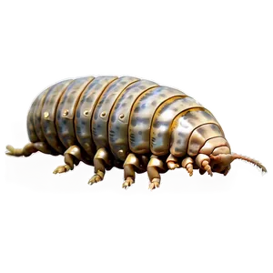 Isopod Habitat Png 06292024 PNG Image