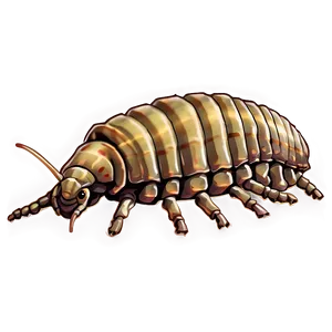 Isopod Illustration Png Khf PNG Image