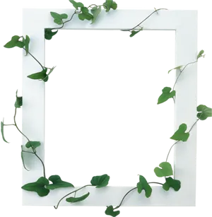 Ivy Embellished Frame Template PNG Image