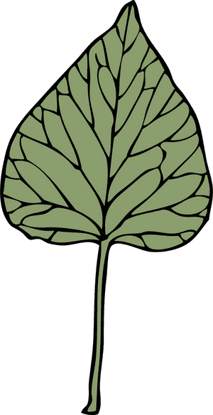 Ivy Leaf 6 Clip Arts - Clip Art, HD Png Download PNG with transparent background