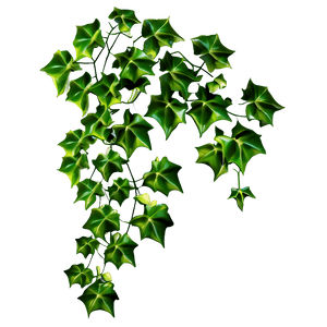 Ivy Vine Digital Artwork PNG image with transparent background