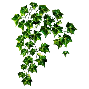 Ivy Vine Digital Artwork PNG Image